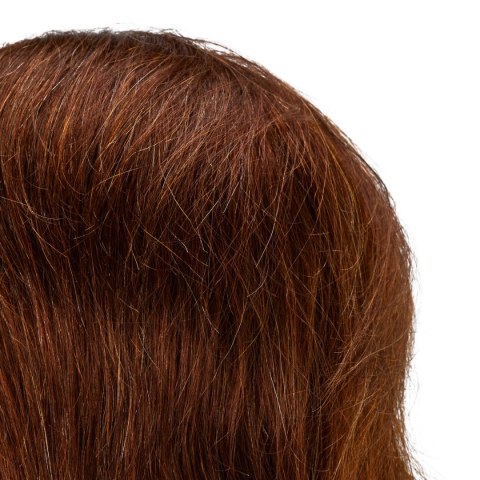Główka treningowa fryzjerska Gabbiano WZ3 naturalne włosy, kolor 4H, długość 8"" Główka treningowa fryzjerska Gabbiano WZ3 naturalne włosy, kolor 4H, długość 8""